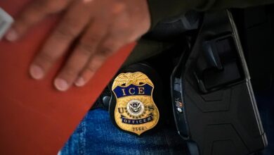 Photo of Son hondureños, emigraron a EE.UU. por la salud de su hijo, pero planean autodeportarse por miedo al ICE