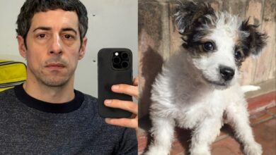 Photo of Comparó a su nuevo perro con Esteban Lamothe y el actor tuvo un gesto que se volvió viral: “Idéntico”