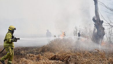 Photo of SE MANTIENEN ACTIVOS LOS INCENDIOS FORESTALES EN LAS ZONAS DEL VALLE DE PUNILLA