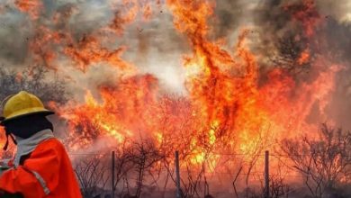 Photo of CONTINÚA EL COMBATE DE UN INCENDIO FORESTAL EN CAPILLA DEL MONTE