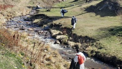 Photo of EL MUNICIPIO DE USHUAIA REALIZÓ UN INTENSO TRABAJO DE SANEAMIENTO Y DESINFECCIÓN EN LA CIUDAD