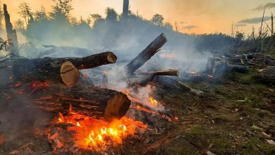 Photo of LA UNIDAD PROVINCIAL DE MANEJO DEL FUEGO TRABAJÓ EN LA EXTINCIÓN DE UN INCENDIO FORESTAL EN UNA TURBERA