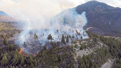 Photo of EL BOLSON, MÁS DE 8.000 LAS HECTÁREAS QUEMADAS Y COMBATEN EL FUEGO MÁS DE CIEN BRIGADISTAS