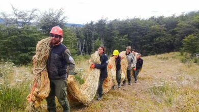 Photo of PRIMERA ACTIVIDAD DE REHABILITACIÓN EN LA RESERVA PROVINCIAL RÍO VALDEZ