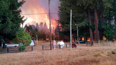 Photo of LOS INVESTIGADORES ENCONTRARON DOS PUNTOS DE ORIGEN DE LOS INCENDIOS EN CHUBUT Y RÍO NEGRO