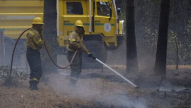 Photo of CHUBUT Y RÍO NEGRO MANTIENEN FOCOS ACTIVOS DE INCENDIO FORESTALES