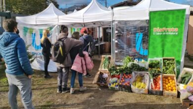 Photo of SE REALIZÓ LA PRIMERA FERIA VEGANA DE USHUAIA