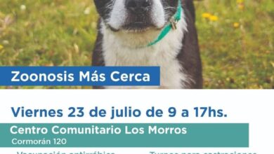 Photo of ”ZOONOSIS MÁS CERCA” ESTARÁ EN EL CENTRO COMUNITARIO MUNICIPAL DEL BARRIO LOS MORROS