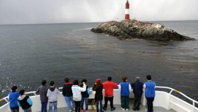 Photo of TIERRA DEL FUEGO UNO DE LOS DESTINOS MÁS ELEGIDOS EN LA SEGUNDA EDICIÓN DE PREVIAJE