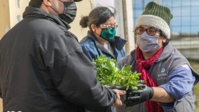 Photo of RÍO GRANDE UN DÍA MÁS EN LA ENTREGA DE PLANTINES