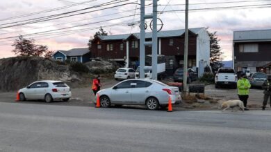 Photo of LA MUNICIPALIDAD DE USHUAIA REALIZÓ 200 CONTROLES VEHICULARES DURANTE LA MADRUGADA DEL 1° DE ENERO