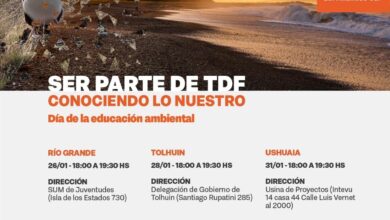 Photo of “SER PARTE DE TDF: CONOCIENDO LO NUESTRO” UNA PROPUESTA DE VERANO