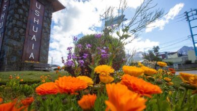 Photo of USHUAIA COLORIDA, NUEVAS FLORES DE LA TEMPORADA