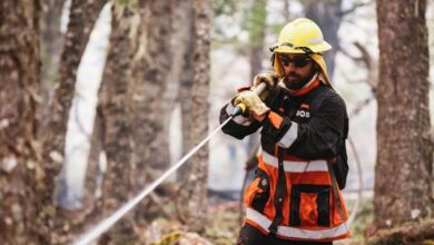 Photo of ESTADO DE SITUACIÓN INCENDIO EN LA RESERVA CORAZÓN DE LA ISLA