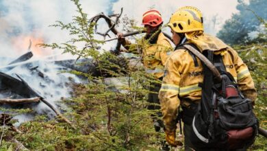 Photo of ESTADO DE SITUACIÓN DEL INCENDIO EN LA RESERVA CORAZÓN DE LA ISLA