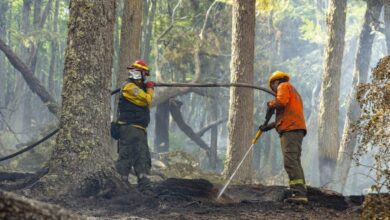 Photo of ESTADO DE SITUACIÓN DEL INCENDIO EN LA RESERVA PROVINCIAL CORAZÓN DE LA ISLA