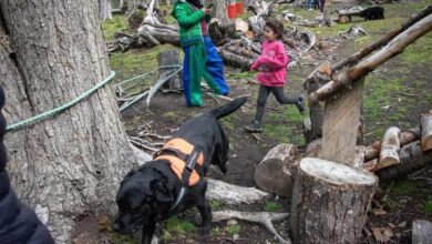 Photo of FINALIZÓ LA COLONIA MUNICIPAL DE VERANO DE TERAPIA ASISTIDA CON PERROS EN USHUAIA