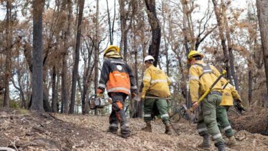 Photo of “CREEMOS QUE FALTA MUY POCO PARA EXTINGUIR EL INCENDIO EN LA RESERVA PROVINCIAL CORAZÓN DE LA ISLA”