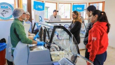 Photo of “RGA ALIMENTOS”: ADQUIRÍ LOS PRODUCTOS EN EL PASEO CANTO DEL VIENTO