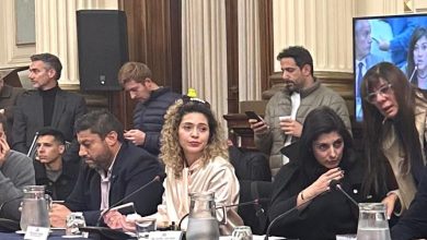 Photo of La diputada libertaria Lourdes Arrieta fue a reunión de comisión con un patito “viral” en la cabeza