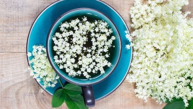 Photo of Sauco: el té que es un potente antioxidante, fortalece el corazón y depura el cuerpo