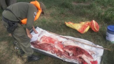 Photo of “Zona liberada”: temor entre los productores por delitos que asolan los campos en una región de Santa Fe