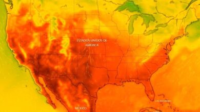 Photo of Estado por estado: el mapa interactivo que te muestra cuánto calor hace en tu ciudad en EE.UU.