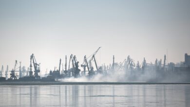 Photo of El desafío de la Argentina es ordenarse para abastecer a un mundo cada vez más convulsionado