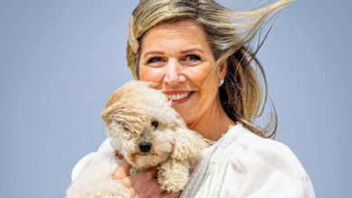 Photo of La divertida foto de Máxima Zorreguieta con su mascota que muestra su lado más descontracturado