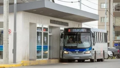 Photo of El Municipio sostiene los beneficios del transporte público en Río Grande