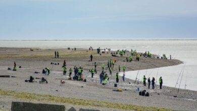 Photo of “Mar y Arte” en el paseo Canto del Viento