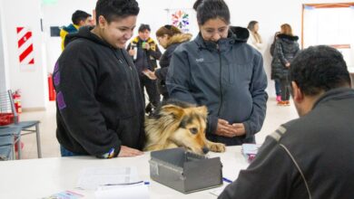 Photo of RGA Mascotera: 350 intervenciones en la jornada de vacunación antirrábica y chipeo