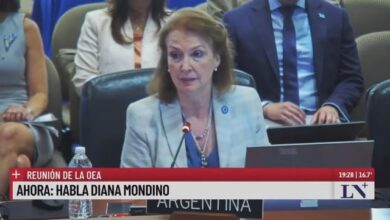 Photo of Diana Mondino, desde la OEA: “El régimen de Maduro no se ajusta a derecho”