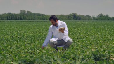 Photo of Alianza: buscan medir la huella de carbono de un millón de hectáreas