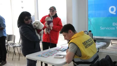 Photo of Este sábado habrá una nueva jornada mascotera