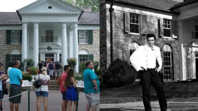 Photo of La casa de Elvis Presley: el malicioso plan de la mujer que quiso adueñarse de la famosa propiedad y vender Graceland