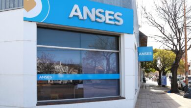 Photo of Calendario de la Anses: todas las prestaciones que se pagan este lunes 19 de agosto