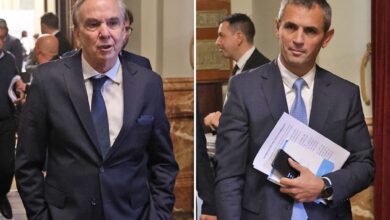 Photo of Martín Menem cargó contra Pichetto por no dar quorum y opinó sobre la visita de libertarios a represores