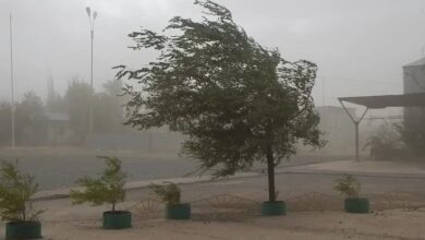 Photo of El Servicio Meteorológico Nacional emitió alertas por vientos fuertes y nevadas en 17 provincias