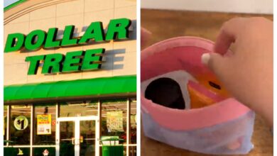 Photo of Compró los paquetes escolares de su hija en Dollar Tree y sorprendió con su ahorro