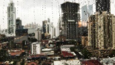 Photo of Clima en EE.UU., hoy sábado 31 de agosto: alertas por tormentas eléctricas, lluvias excesivas e inundaciones