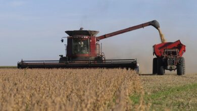 Photo of Negocios del Campo: hoy se realiza una nueva edición de un clásico del sector agropecuario