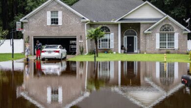 Photo of Las compañías de seguro de Florida se enfrentan a reclamos millonarios tras el paso del huracán Debby