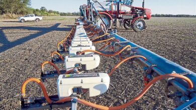 Photo of Malezas: cada vez más, la tecnología se enfoca en la sustentabilidad