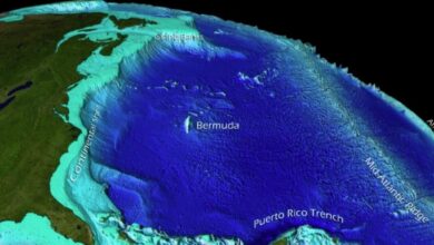 Photo of Qué ventajas brindará el próximo mapa completo del suelo submarino