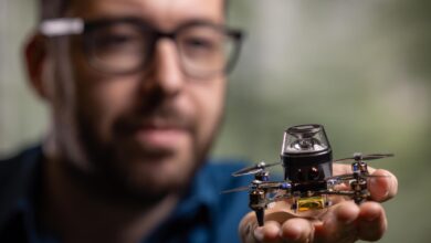 Photo of Cómo las hormigas están sirviendo para crear drones diminutos capaces de volver a casa sin GPS