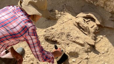 Photo of Son argentinos y realizan una misión arqueológica en Egipto para hallar los restos de la momia Amenmose