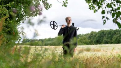 Photo of No eran simples brazaletes: rastrillaba el campo con su detector de metales y encontró objetos vikingos de alto valor