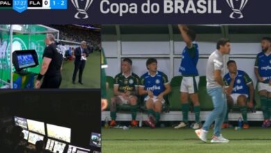 Photo of Video: el DT de Palmeiras se tomó su parte íntima y lo echaron por VAR en la Copa de Brasil