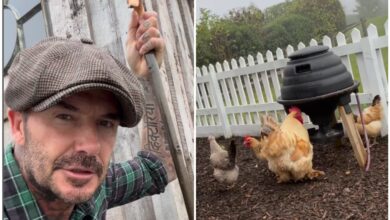 Photo of David Beckham mostró cómo es un día en su granja y su mujer Victoria le hizo un reclamo